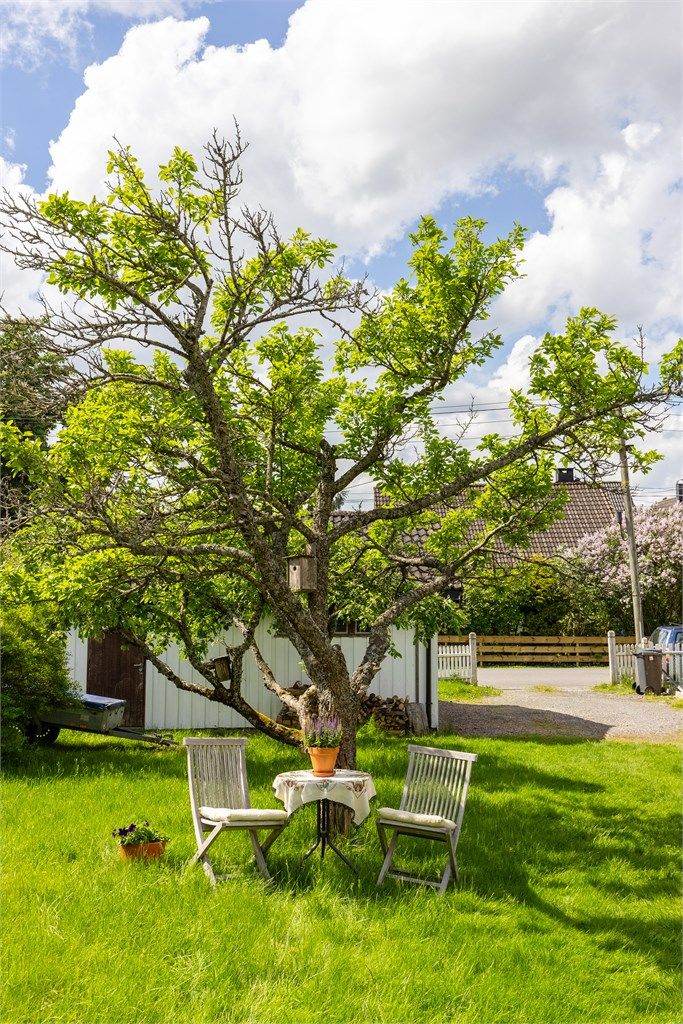 Koselig plass til å sitte under treet og nyte en god bok
