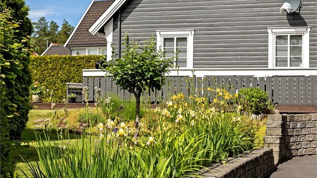 Tomten er pent opparbeidet med plen, beplantning og asfaltert adkomst.