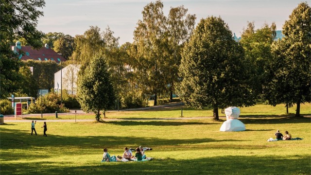 Tøyenparken byr på åpne grøntområder, flotte turstier og det nye Tøyenbadet – en naturlig møteplass året rundt.