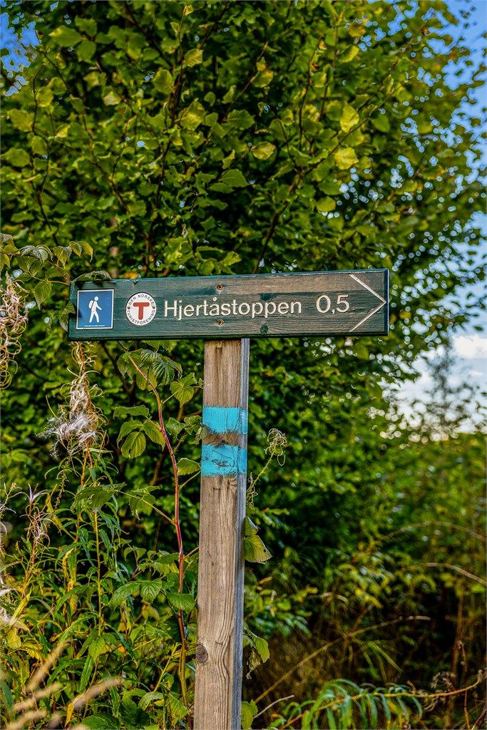 Området byr på merkede turløyper mot Hjertåstoppen like i nærheten.