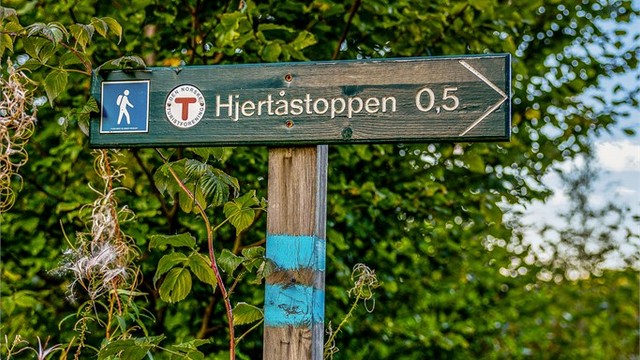 Området byr på merkede turløyper mot Hjertåstoppen like i nærheten.