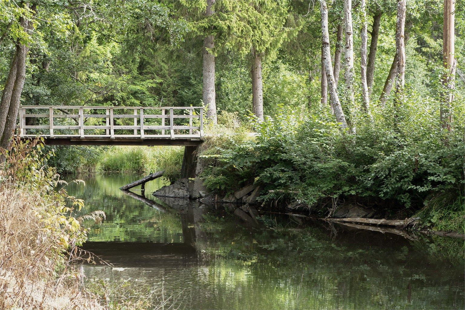 Fine turmuligheter med direkte tilgang til skog og mark fra tunet.
