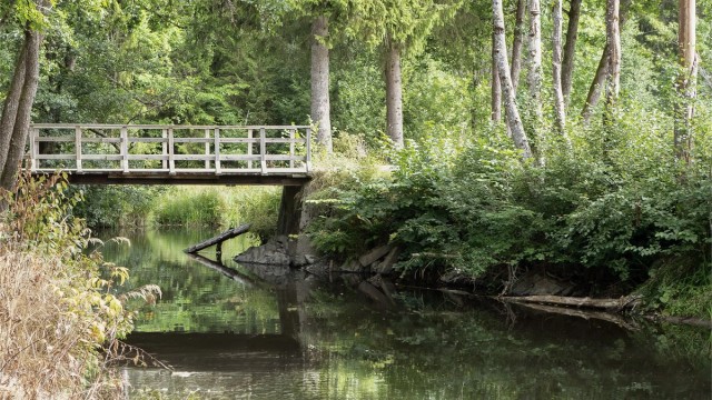 Fine turmuligheter med direkte tilgang til skog og mark fra tunet.