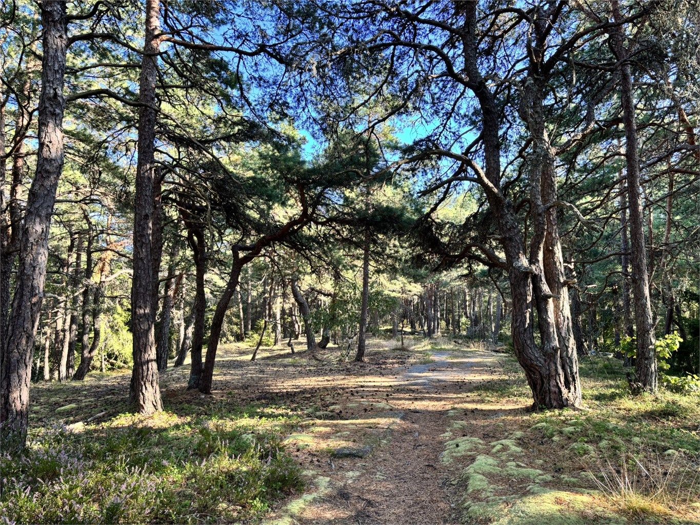 Tjøme byr på vakker natur og spektakulære opplevelser