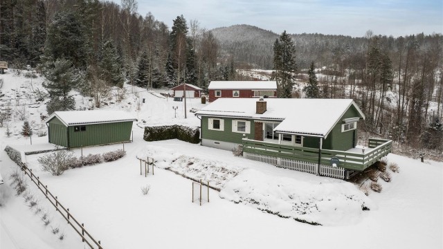 Velkommen til Bjørkeløkka 5!