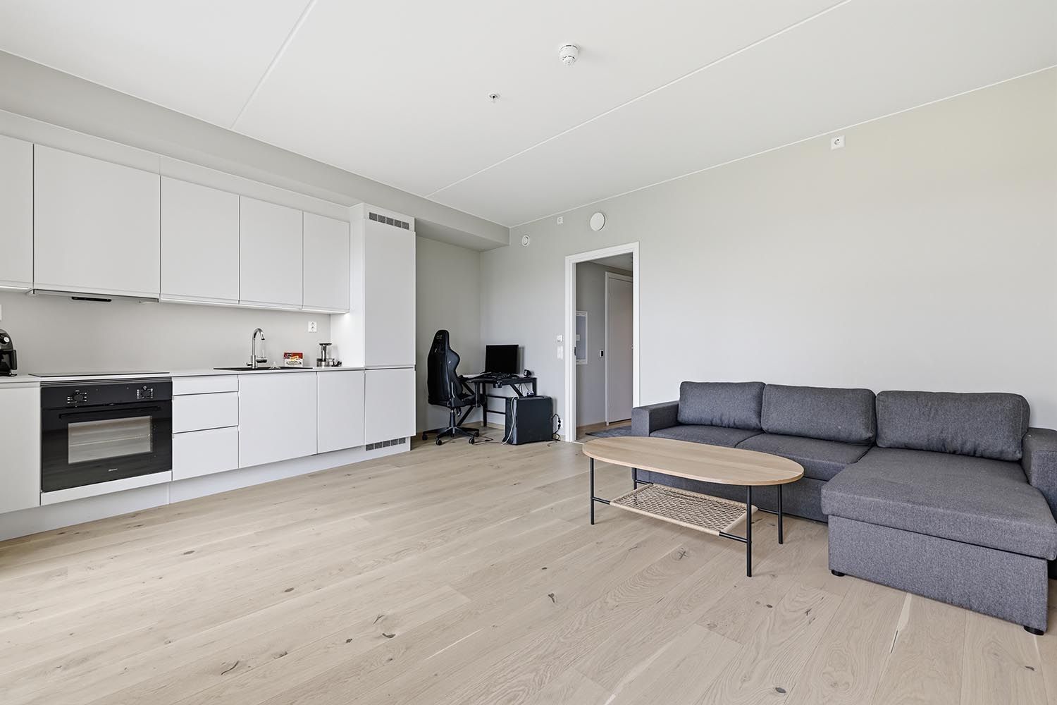 Stue/kjøkken/soverom 