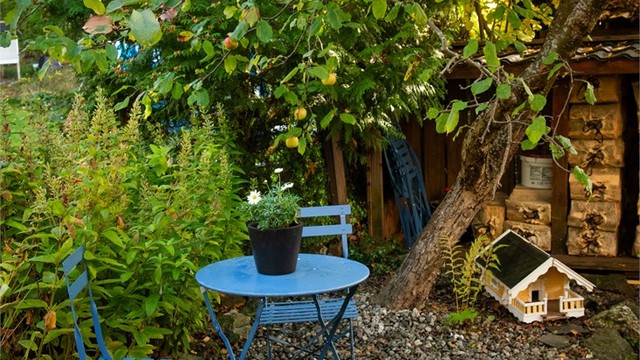 Koselig, lun og sval sitteplass under epletreet i hagen på varme sommerdager.