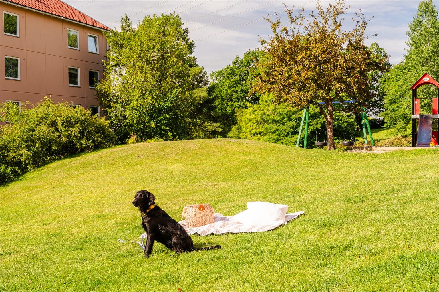 Borettslaget byr på masser av boltreplass til både to- og firbeinte! 