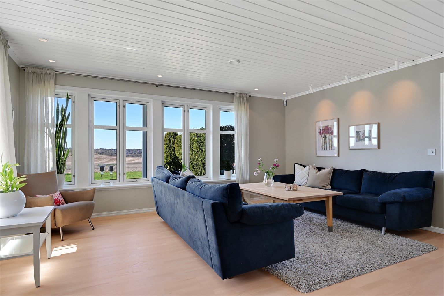 God plass til en stor sofagruppe for hele familien.