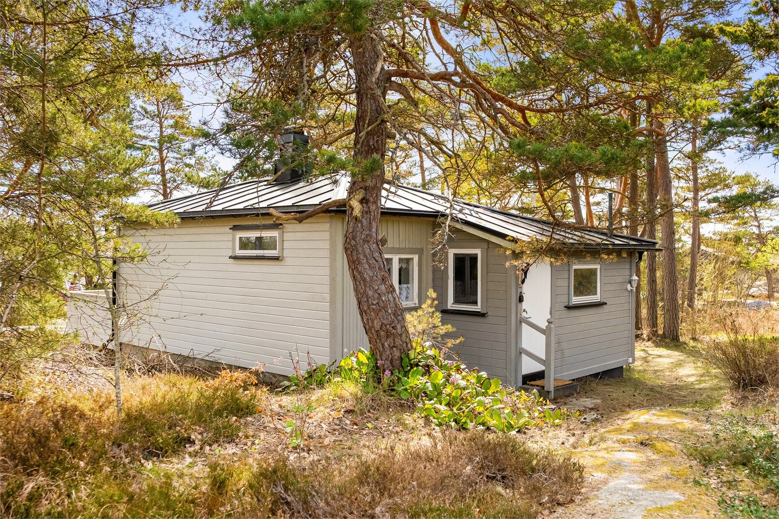 Tomten består nær sagt utelukkende av naturlig grunn og viltvoksende vegetasjon. Her er det intet tidkrevende hagestell å se frem mot.