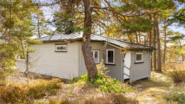 Tomten består nær sagt utelukkende av naturlig grunn og viltvoksende vegetasjon. Her er det intet tidkrevende hagestell å se frem mot.
