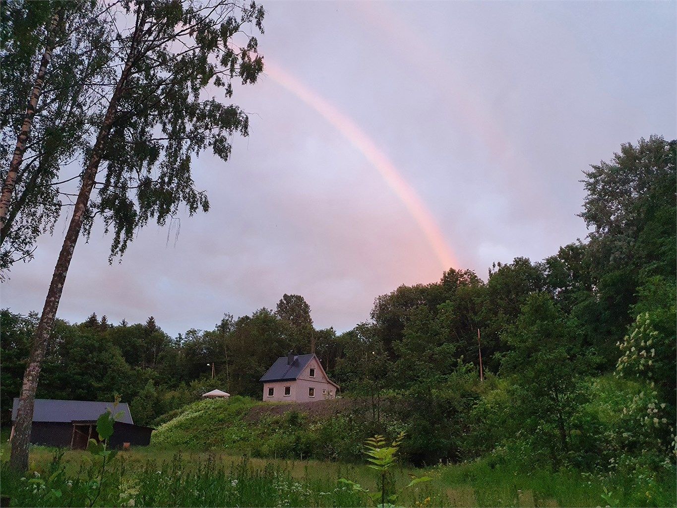 Bilde fra selger