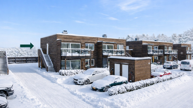 Bildet er redigert med AI og avvik kan forekomme.