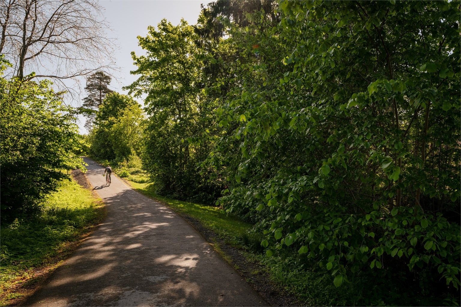 Eiendommen grenser mot tursti, her går barna bilfritt til skole og treninger.