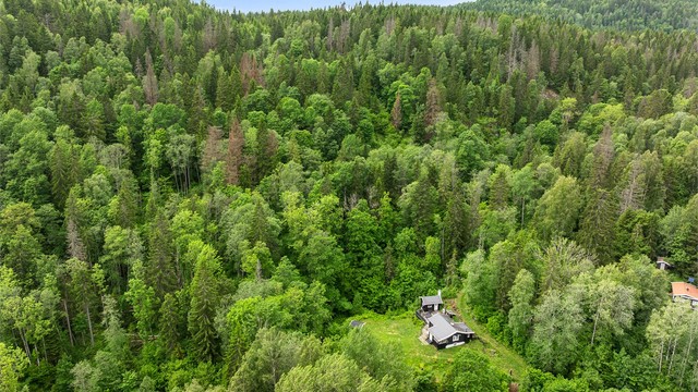 Vinterstid er det kun en kort kjøretur til Kirkerudbakken Skisenter for alpint.