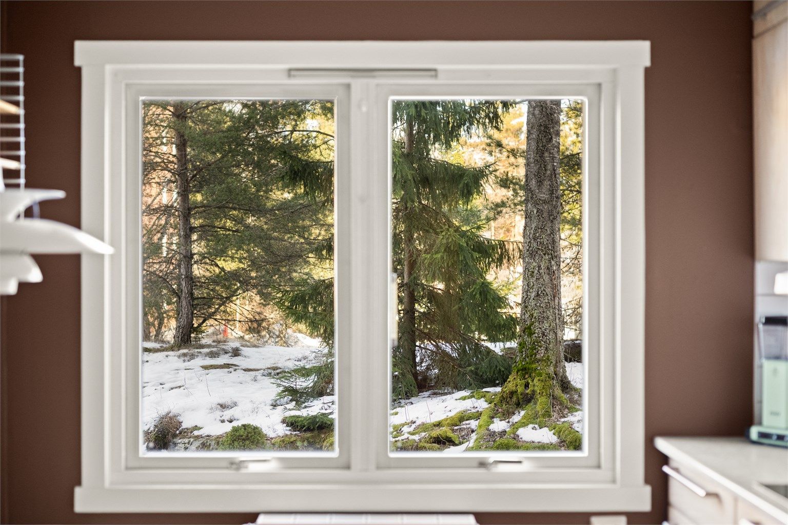 Fredelig utsyn mot skog og grøntområde rett utenfor leiligheten.