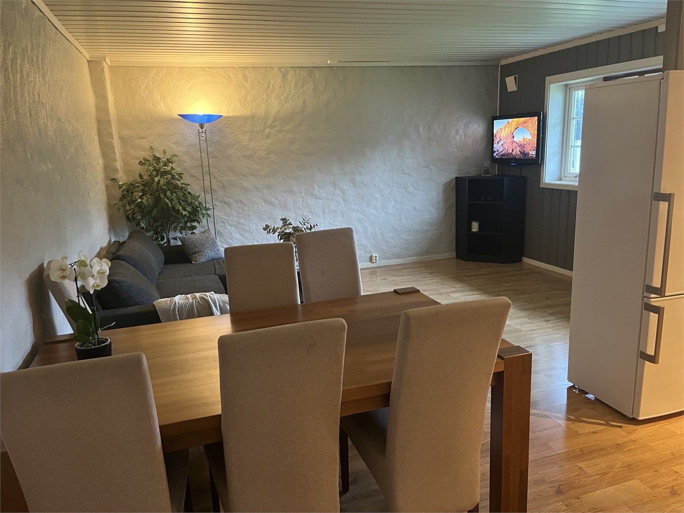 Utleiedel - fotografert av kunde.