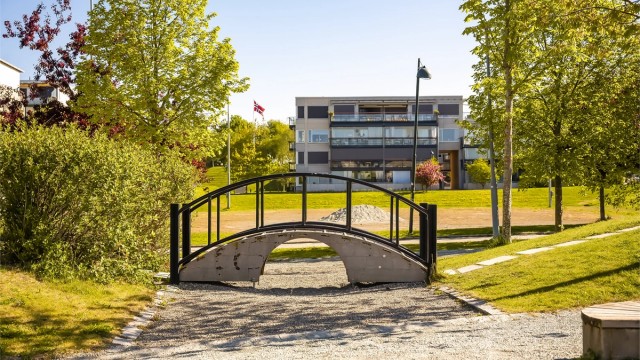 Store friområder og grøntareal i området
