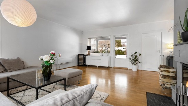 Stue med utgang til terrasse