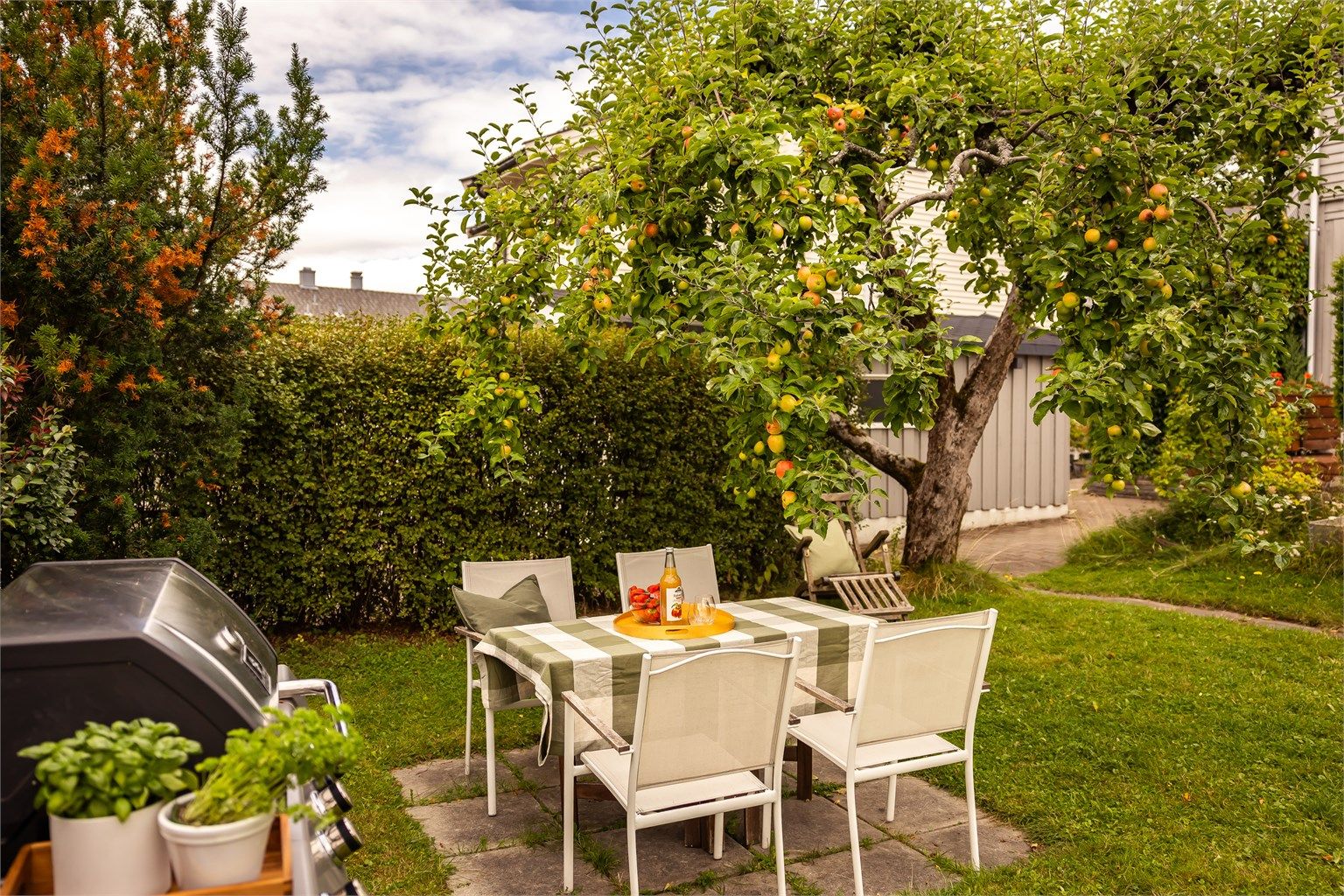 Se for deg de sene sommerkveldene med grilling og sammenkomster her!