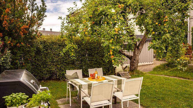 Se for deg de sene sommerkveldene med grilling og sammenkomster her!