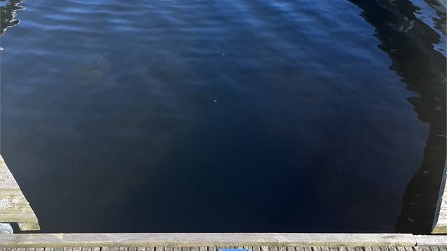 Mulighet for kjøp av båtplass i idylliske Fevikkilen.