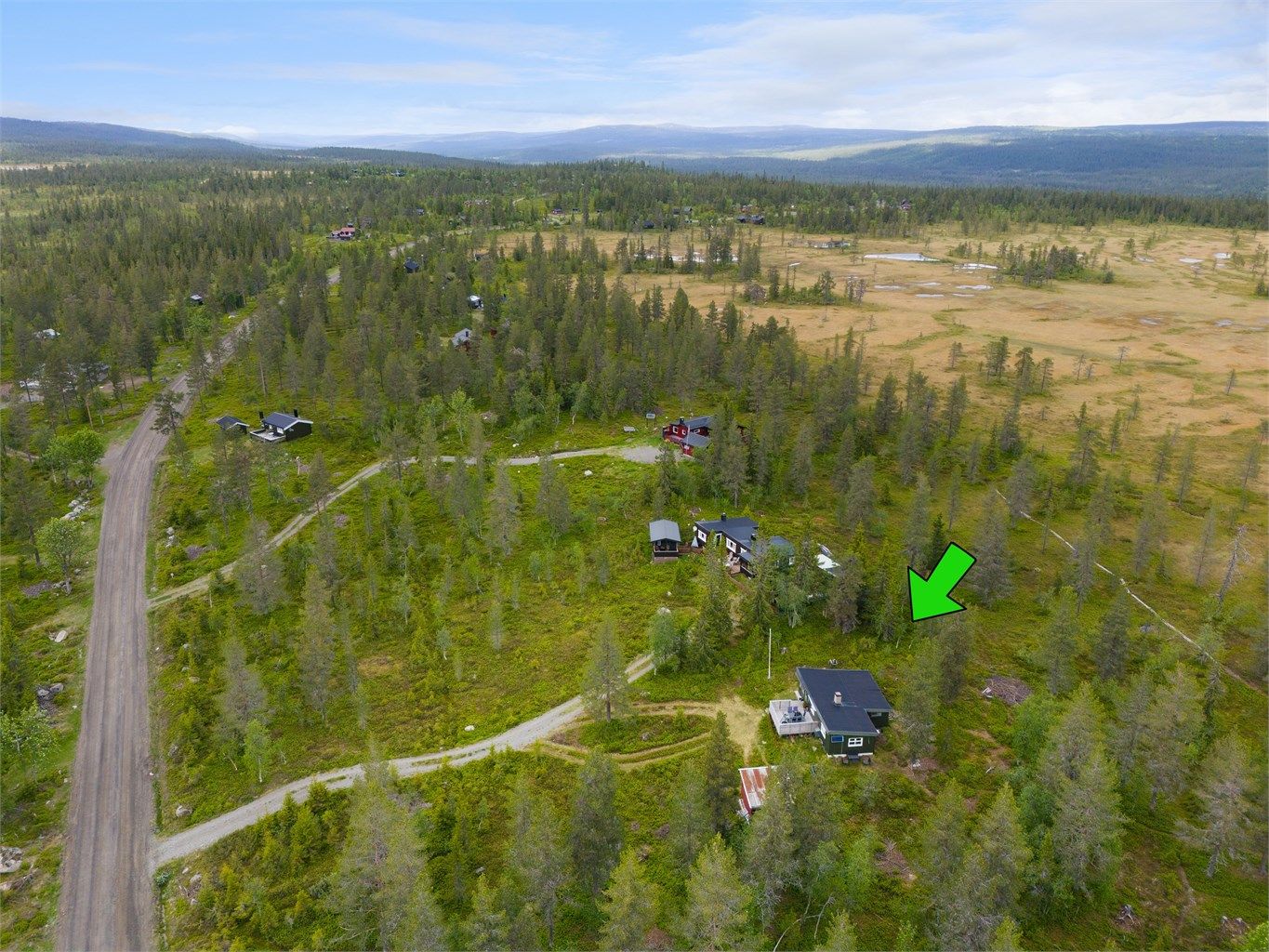 (Foto: Pholio v/ Bjørnar Fjeldberg)