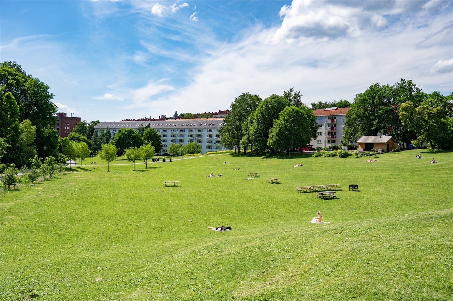 Nærområdet: Noen meter unna har du din egen grønne oase, Iladalen, en stor, flott park, tilbaketrukket fra all biltrafikk. I tillegg er det flere flotte turmuligheter langs Akerselva.