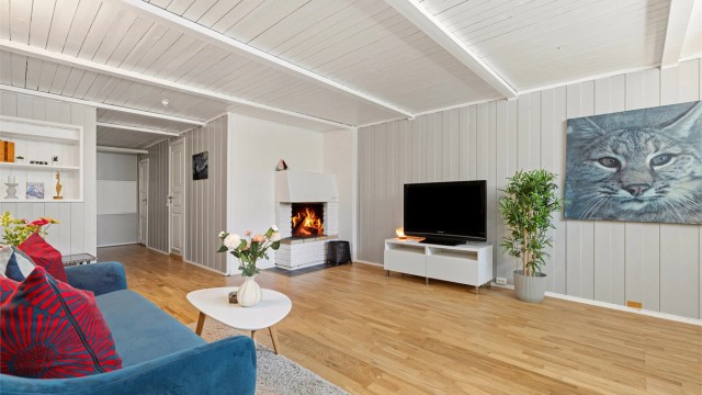 Kjellerstue med god plass og gruepeis (Flamme i peis er satt inn av fotograf, dagnes eier har ikke benyttet peisen) (Rommet er ikke godkjent til varig opphold)