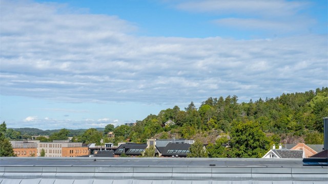 Utsikt mot de grønne åspartiene som omkranser området.