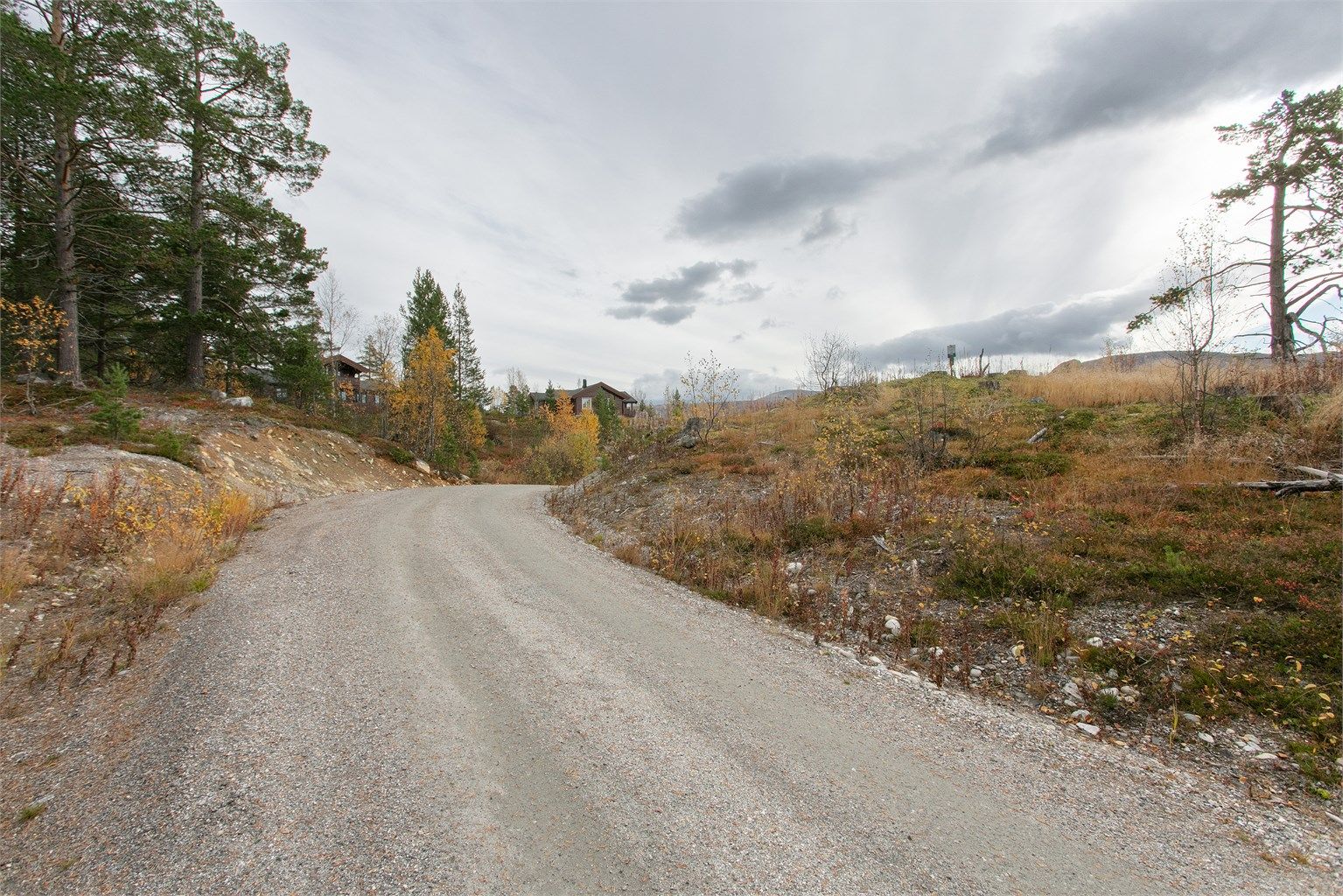 Adkomstvei