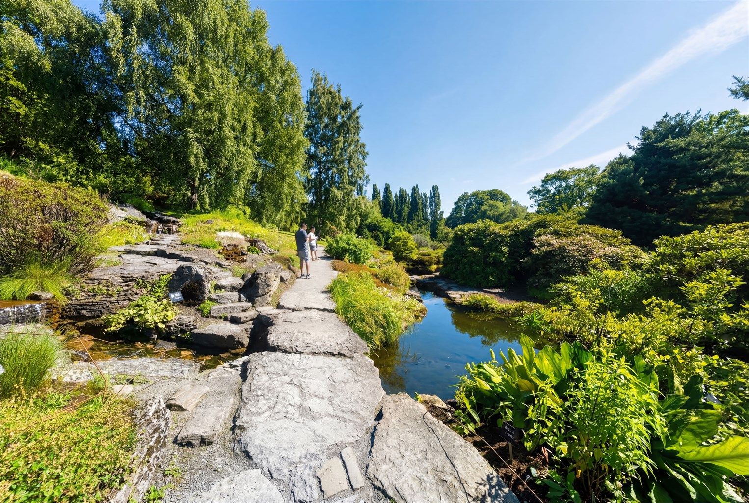 Botanisk hage 