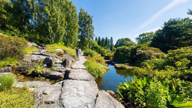 Botanisk hage