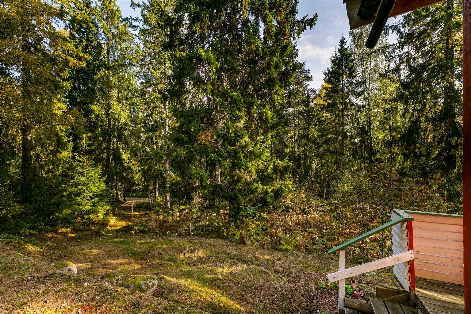 Sti leder mellom hytta og biloppstillingsplass ved Damveien.