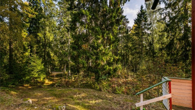 Sti leder mellom hytta og biloppstillingsplass ved Damveien.