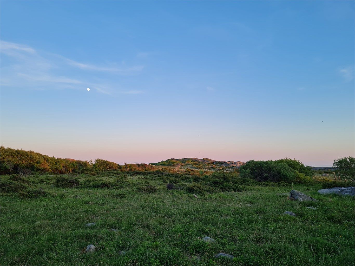 Tjøme byr på et levende kystlandskap der skjærgård, skog og strand møtes