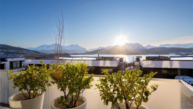 Fra balkongen er det panoramautsikt mot Borgundfjorden og Sunnmørsfjella