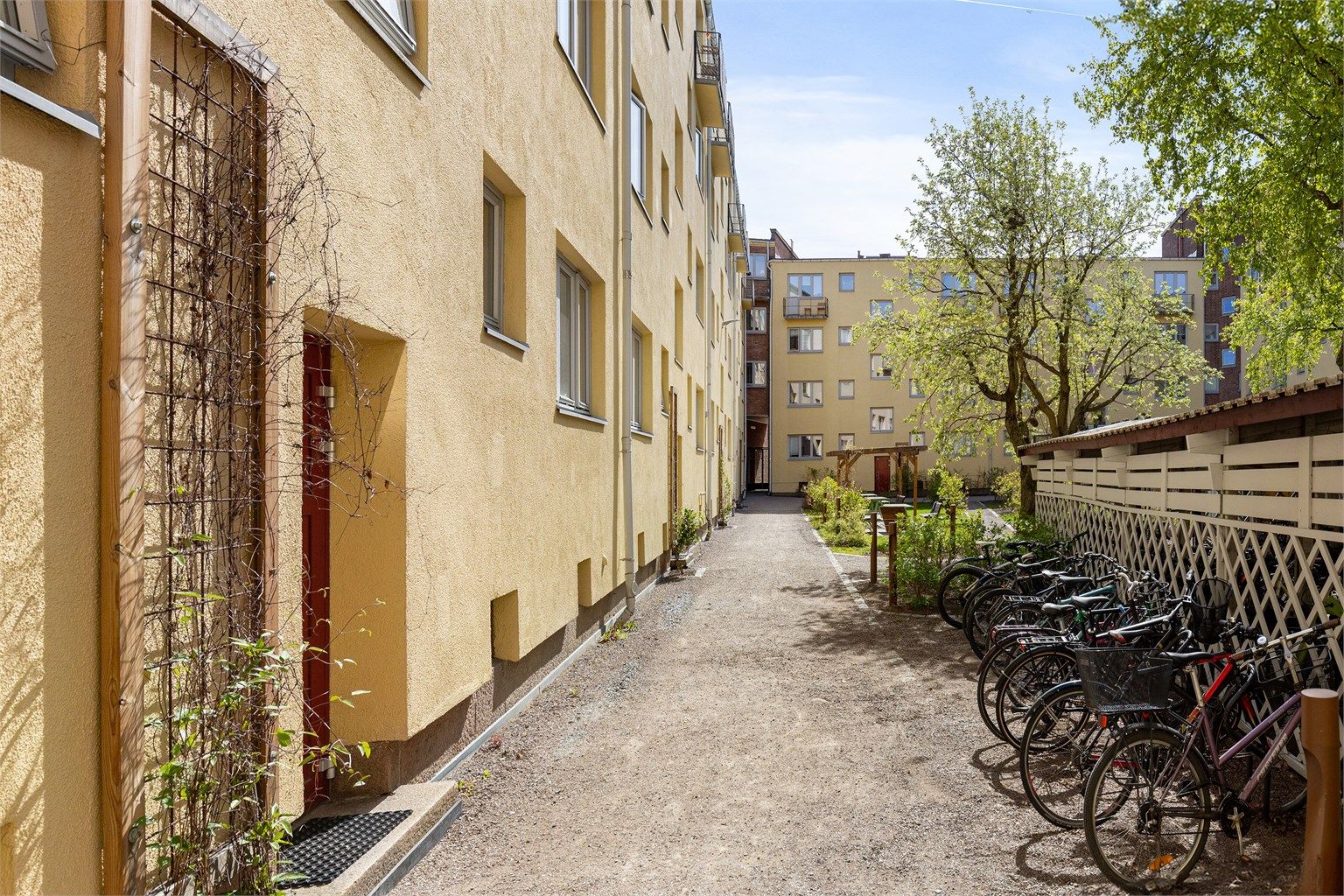 Bakgård