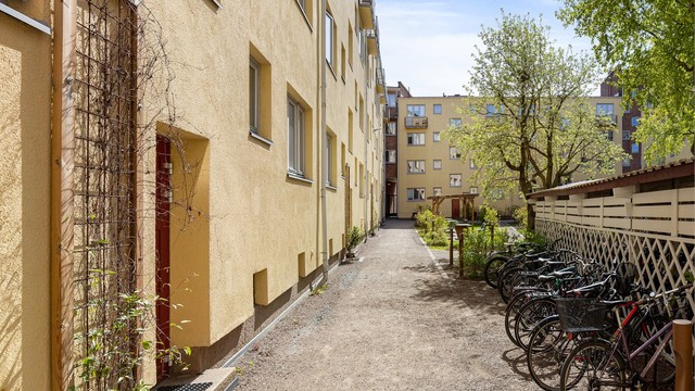 Bakgård