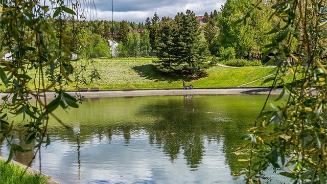 Badedammen ved Tonsenhagen Torg. Badedammen ble i fjor oppgradert med blått flagg. Blått flagg symboliserer en trygg vannkvalitet og et sikkert badested, i tillegg til økt fokus på bærekraft og miljø