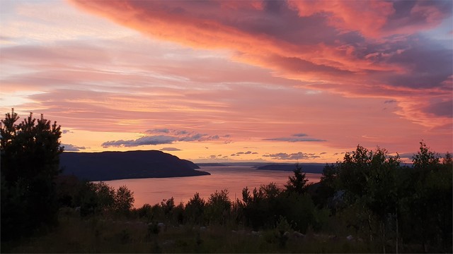 Bilder fra selger.