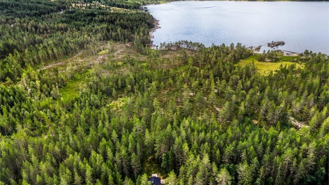 Hytta ligger kun en kort spasertur fra Skredvatn