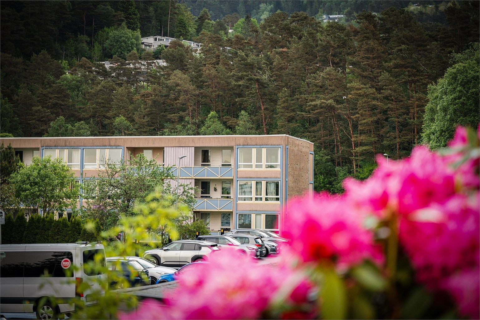 Lyshovden Borettslag er et veletablert lag fra 1970.