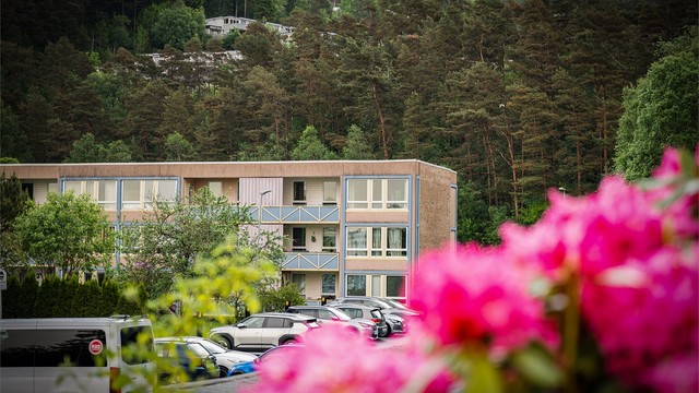 Lyshovden Borettslag er et veletablert lag fra 1970.