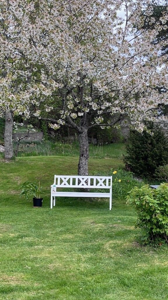 Privat bilde 