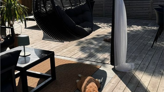 Uteplassen byr på en usjenert ramme for avslappende stunder.