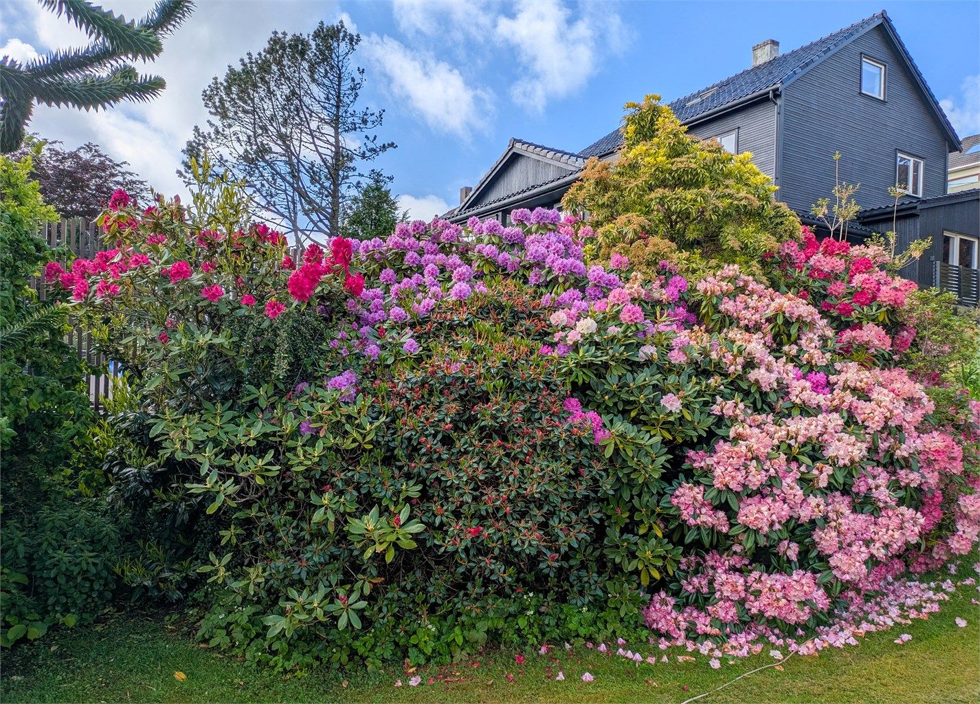 Eiendommen har en variert og rik beplantning.