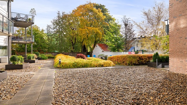 Fellesareal