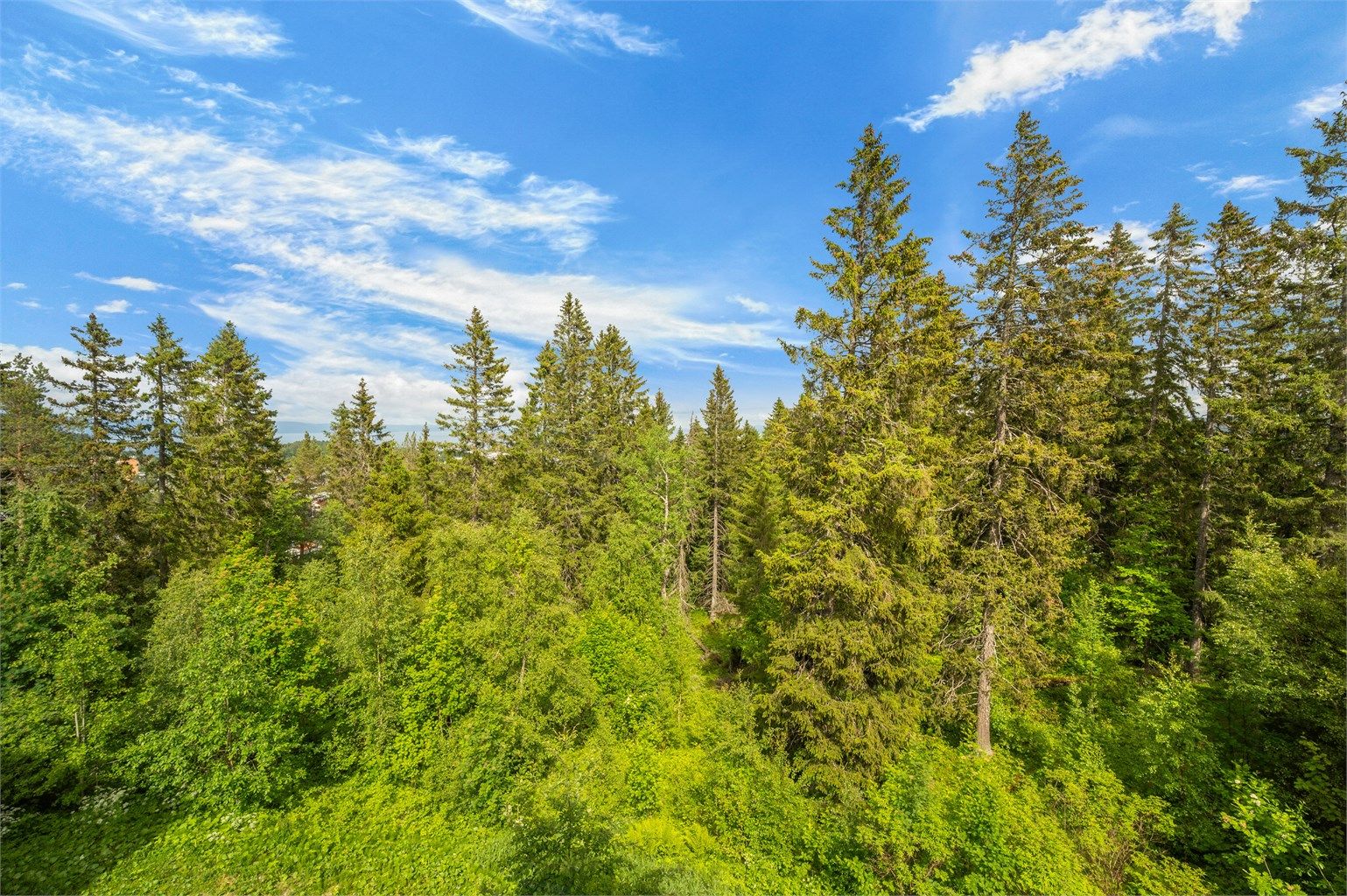 Eiendommen grenser mot frodig natur og byr på en skjermet og fredelig atmosfære.