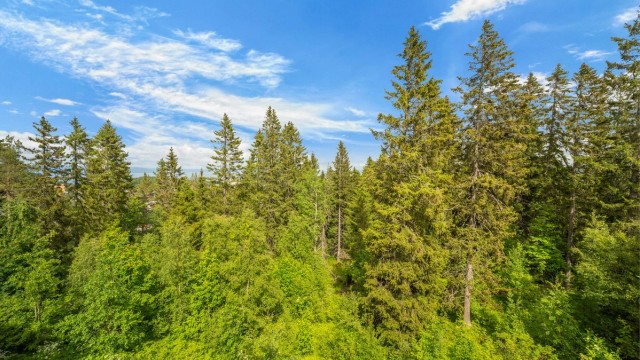 Eiendommen grenser mot frodig natur og byr på en skjermet og fredelig atmosfære.